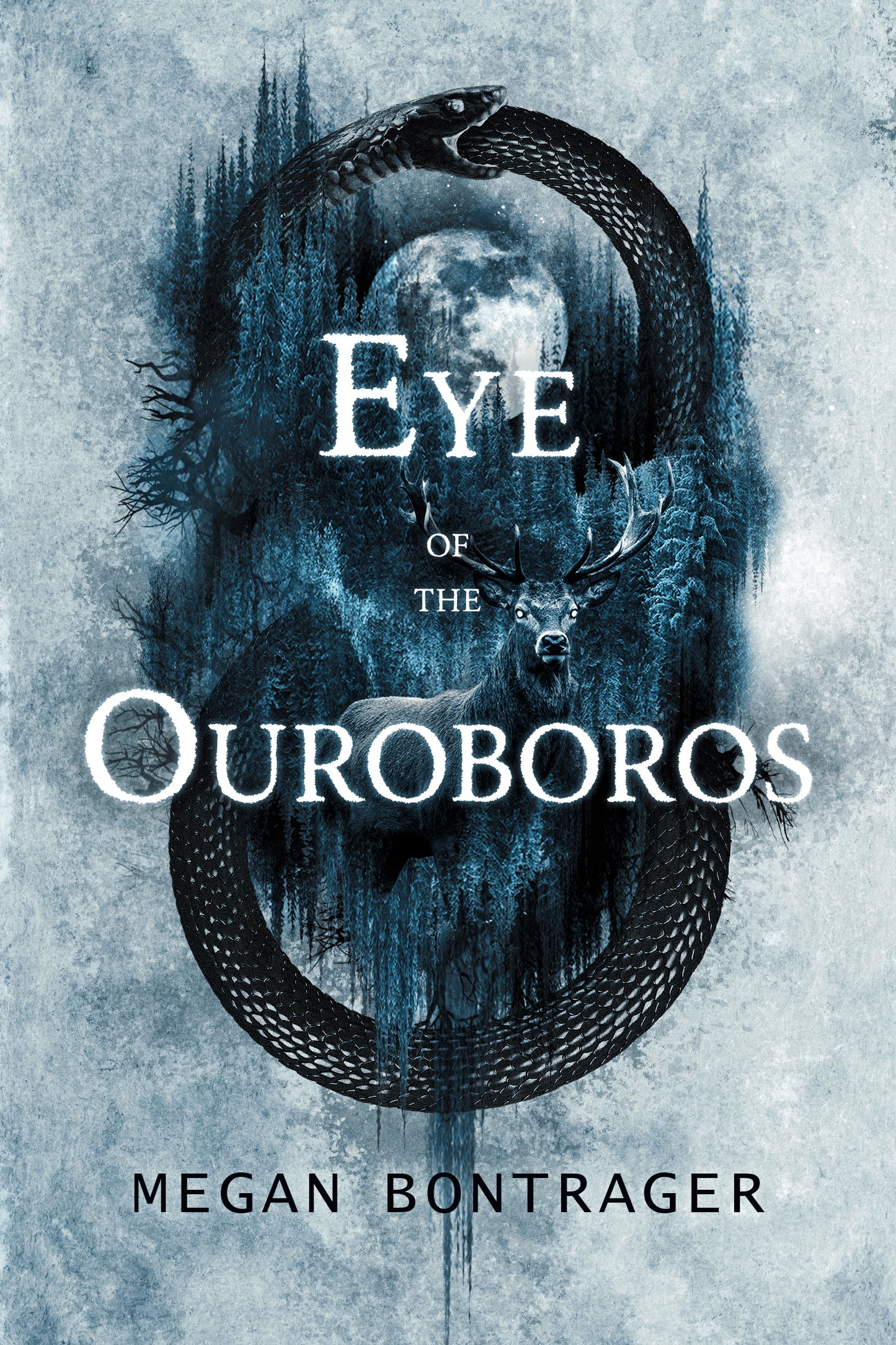 Eye of the Ouroboros