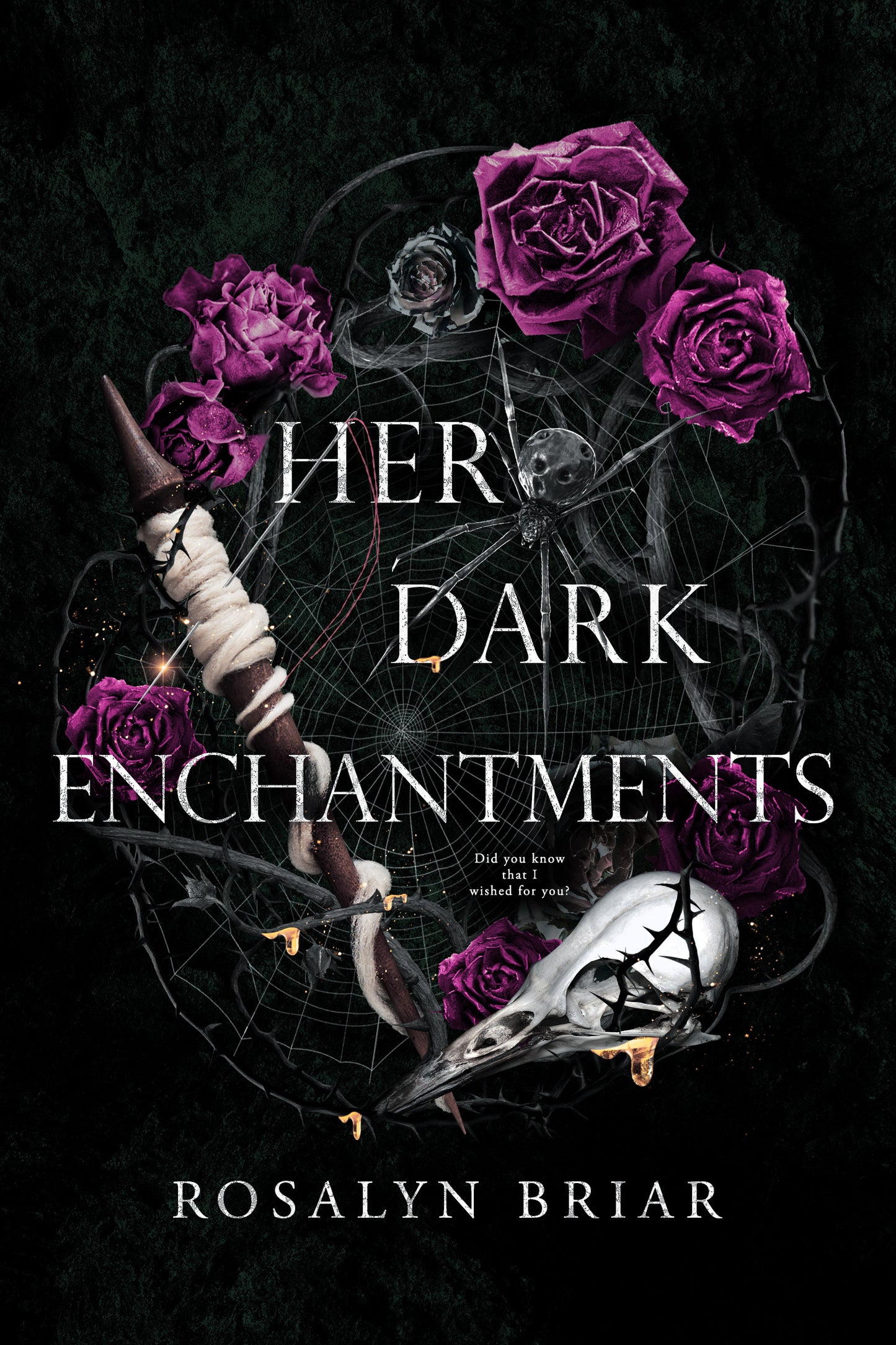 Her Dark Enchantments