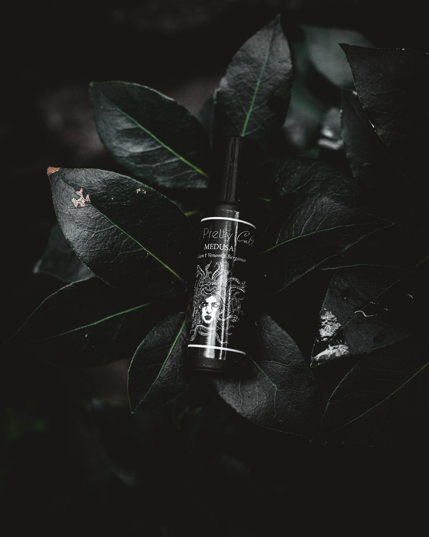 Medusa Perfume