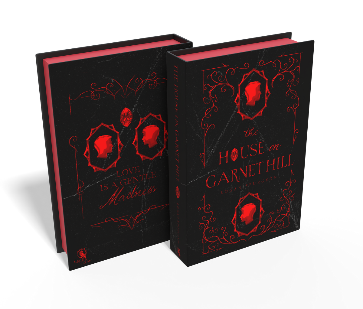 The House on Garnet Hill: GARNET EDITION