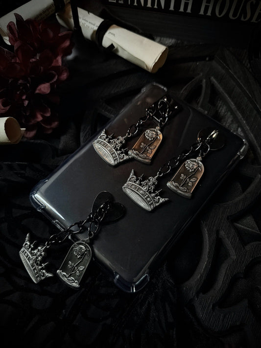 Summoning E-Reader Charm