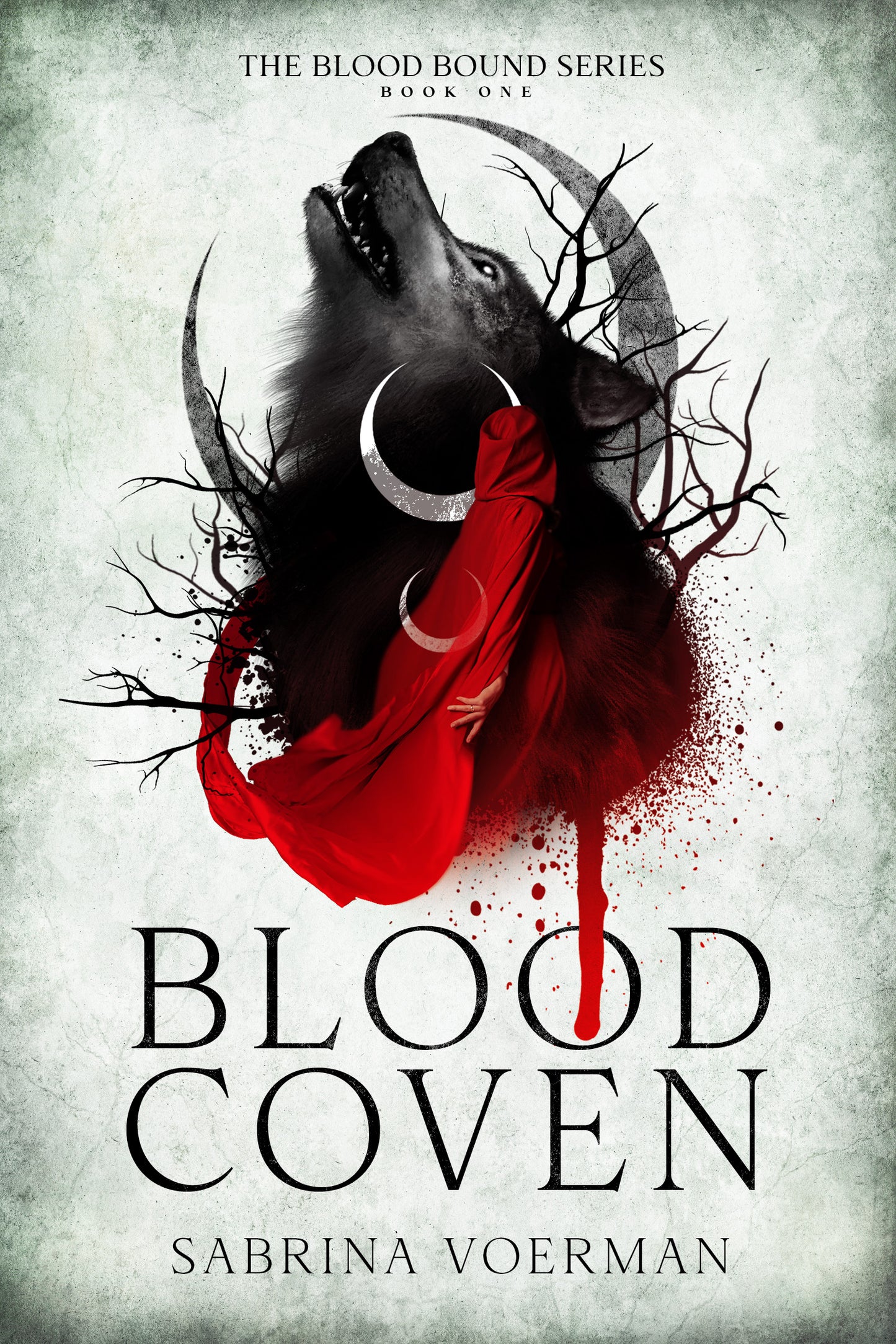 Aquelarre de sangre: La serie Blood Bound, Libro 1